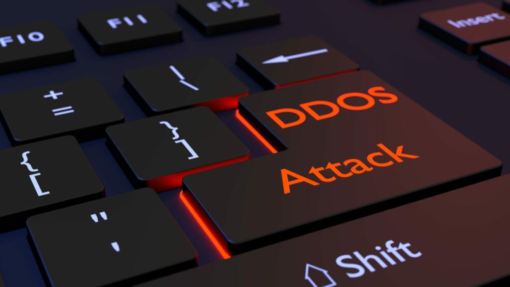 Acceuil wp8538076 ddos wallpapers